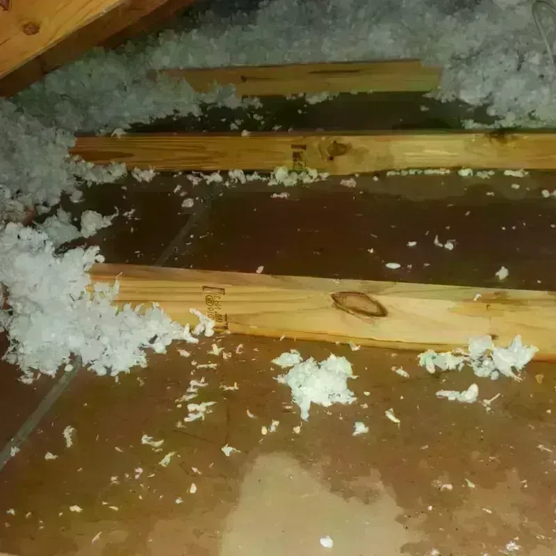 Attic Water Damage in Crosby, TX