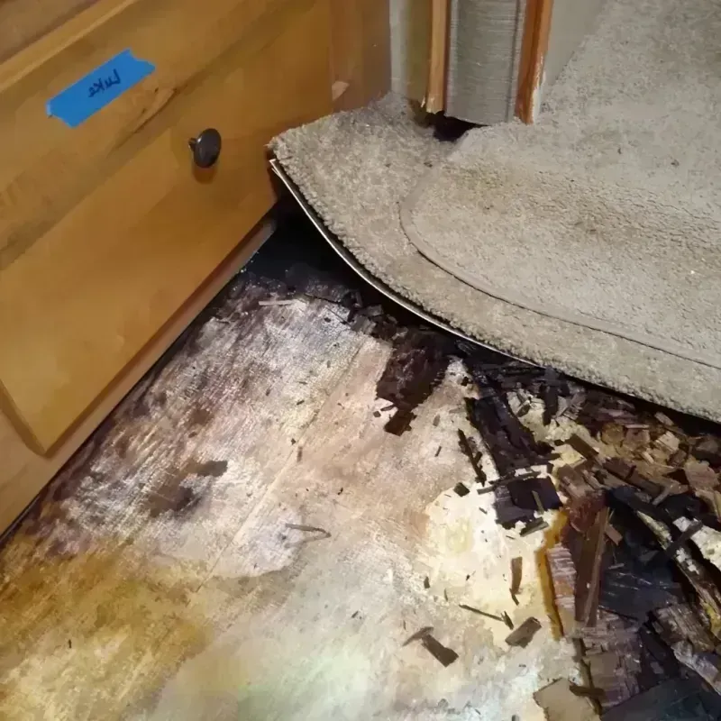 Wood Floor Water Damage in Crosby, TX